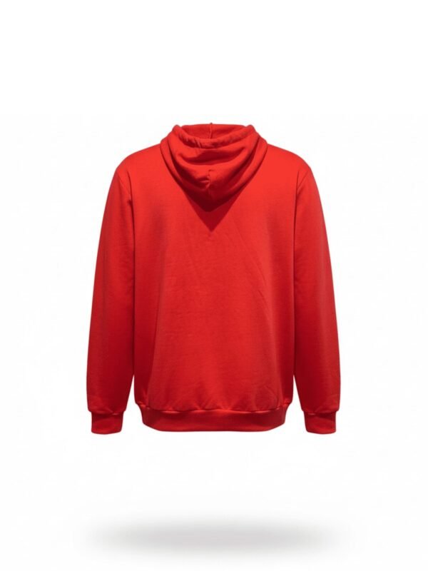 hoodie básica con capucha y bordado artesanal de Jalapa de Díaz hecha a mano por artesanas mazatecas